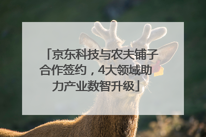 京东科技与农夫铺子合作签约，4大领域助力产业数智升级