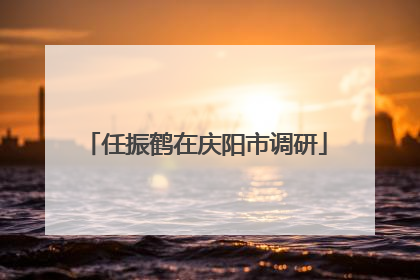 任振鹤在庆阳市调研