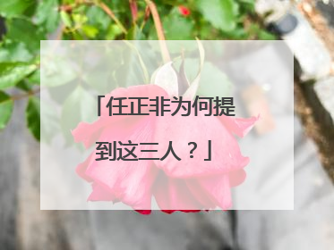 任正非为何提到这三人?