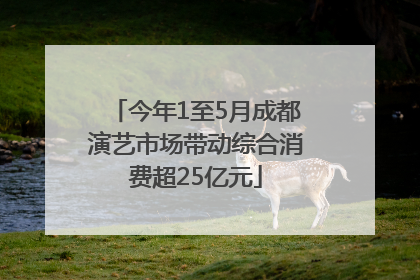 今年1至5月成都演艺市场带动综合消费超25亿元