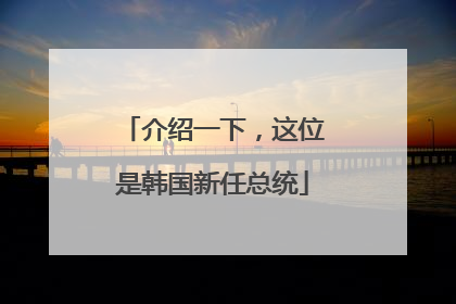 介绍一下，这位是韩国新任总统