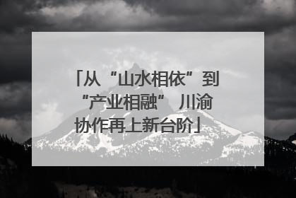从“山水相依”到“产业相融” 川渝协作再上新台阶