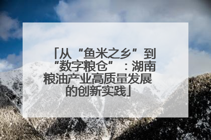 从“鱼米之乡”到“数字粮仓”：湖南粮油产业高质量发展的创新实践