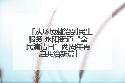 从环境整治到民生服务 永阳街道“全民清洁日”两周年再启共治新篇