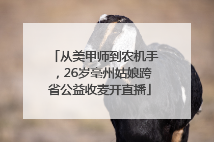 从美甲师到农机手，26岁亳州姑娘跨省公益收麦开直播