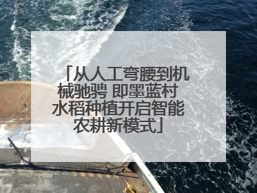 从人工弯腰到机械驰骋 即墨蓝村水稻种植开启智能农耕新模式