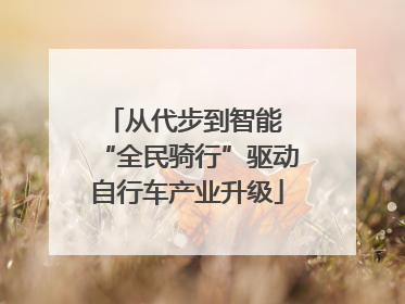 从代步到智能 “全民骑行”驱动自行车产业升级
