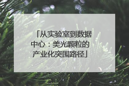 从实验室到数据中心：美光颗粒的产业化突围路径