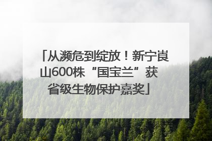 从濒危到绽放！新宁崀山600株“国宝兰”获省级生物保护嘉奖