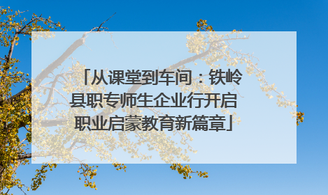 从课堂到车间：铁岭县职专师生企业行开启职业启蒙教育新篇章