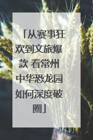 从赛事狂欢到文旅爆款 看常州中华恐龙园如何深度破圈