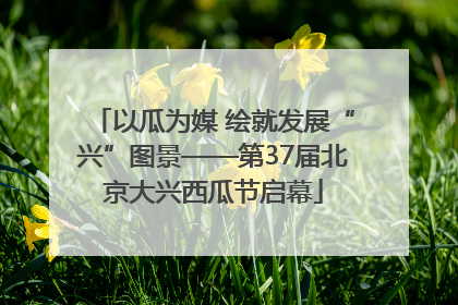 以瓜为媒 绘就发展“兴”图景——第37届北京大兴西瓜节启幕