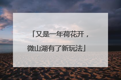 又是一年荷花开，微山湖有了新玩法
