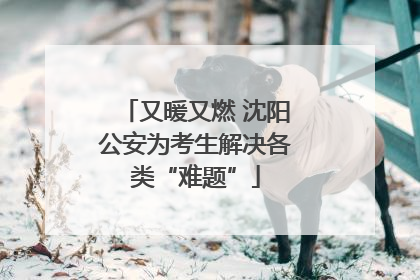 又暖又燃 沈阳公安为考生解决各类“难题”