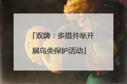 双牌：多措并举开展鸟类保护活动