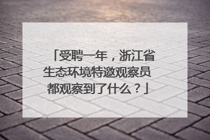受聘一年，浙江省生态环境特邀观察员都观察到了什么？