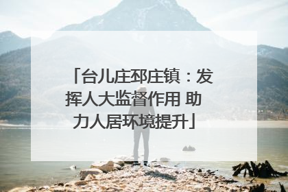 台儿庄邳庄镇：发挥人大监督作用 助力人居环境提升