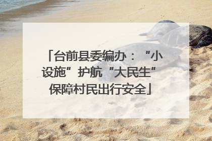 台前县委编办：“小设施”护航“大民生” 保障村民出行安全