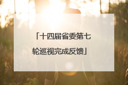 十四届省委第七轮巡视完成反馈