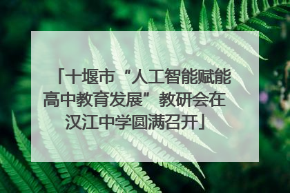 十堰市“人工智能赋能高中教育发展”教研会在汉江中学圆满召开