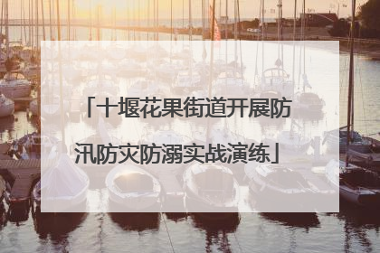 十堰花果街道开展防汛防灾防溺实战演练
