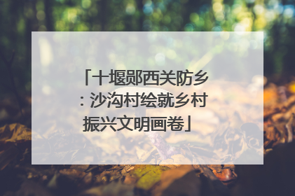 十堰郧西关防乡：沙沟村绘就乡村振兴文明画卷
