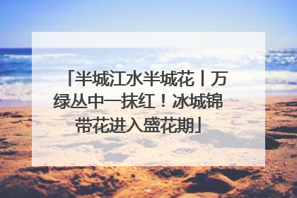 半城江水半城花丨万绿丛中一抹红！冰城锦带花进入盛花期