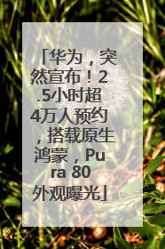 华为，突然宣布！2.5小时超4万人预约，搭载原生鸿蒙，Pura 80外观曝光