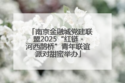 南京金融城党建联盟2025“红链・河西鹊桥”青年联谊派对甜蜜举办