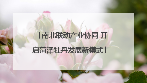 南北联动产业协同 开启菏泽牡丹发展新模式