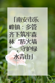 南安市乐峰镇：多管齐下筑牢森林“防火墙”，守护绿水青山
