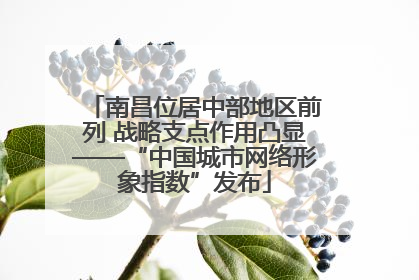 南昌位居中部地区前列 战略支点作用凸显——“中国城市网络形象指数”发布