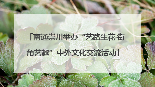 南通崇川举办“艺路生花·街角艺趣”中外文化交流活动