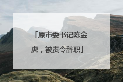原市委书记陈金虎，被责令辞职