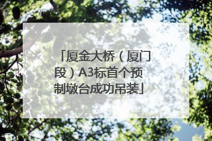 厦金大桥（厦门段）A3标首个预制墩台成功吊装