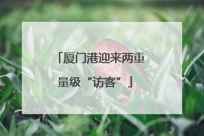 厦门港迎来两重量级“访客”