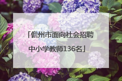 儋州市面向社会招聘中小学教师136名