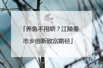养鱼不用塘？江陵秦市乡创新致富路径