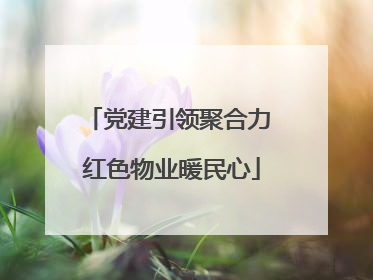 党建引领聚合力 红色物业暖民心