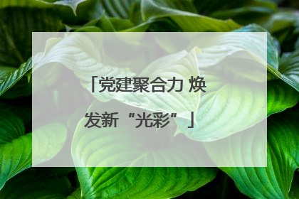 党建聚合力 焕发新“光彩”