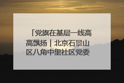 党旗在基层一线高高飘扬｜北京石景山区八角中里社区党委：用脚步丈量民生