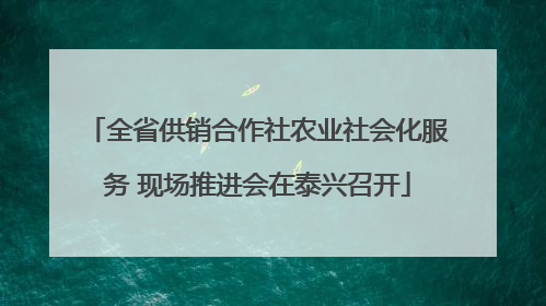 全省供销合作社农业社会化服务 现场推进会在泰兴召开