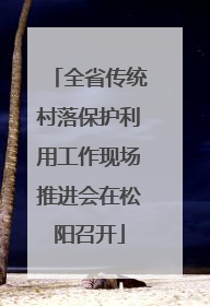 全省传统村落保护利用工作现场推进会在松阳召开