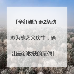 全红婵连更2条动态为陈艺文庆生，晒出最新收获的玩偶