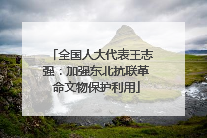 全国人大代表王志强：加强东北抗联革命文物保护利用