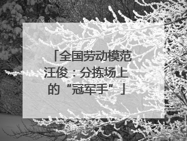 全国劳动模范汪俊：分拣场上的“冠军手”