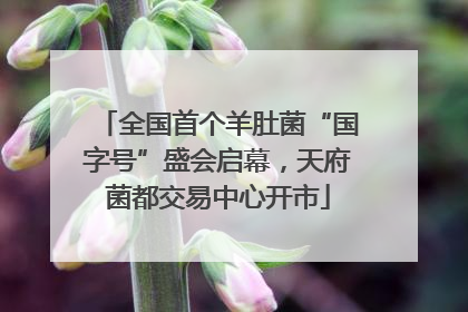 全国首个羊肚菌“国字号”盛会启幕，天府菌都交易中心开市