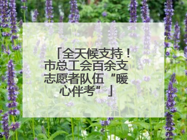 全天候支持！市总工会百余支志愿者队伍“暖心伴考”