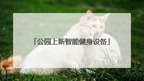 公园上新智能健身设备