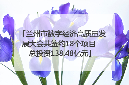 兰州市数字经济高质量发展大会共签约18个项目 总投资138.48亿元
